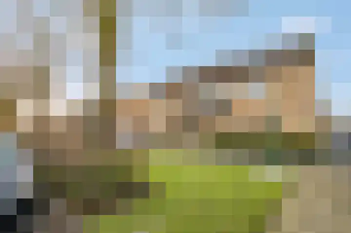 Beethovenlaan 27 Veenendaal thumbnail 6