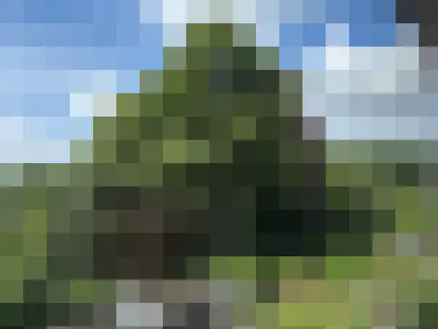Beethovenlaan 27 Zeist thumbnail 20