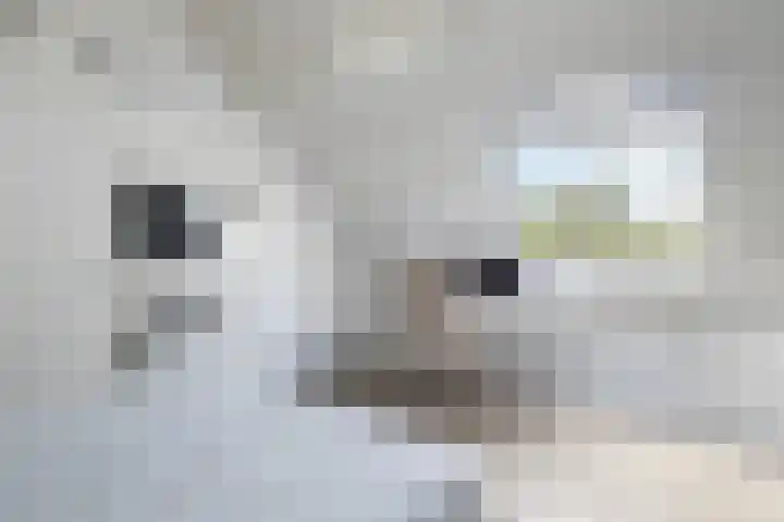 Beethovenlaan 27 Zeist thumbnail 28