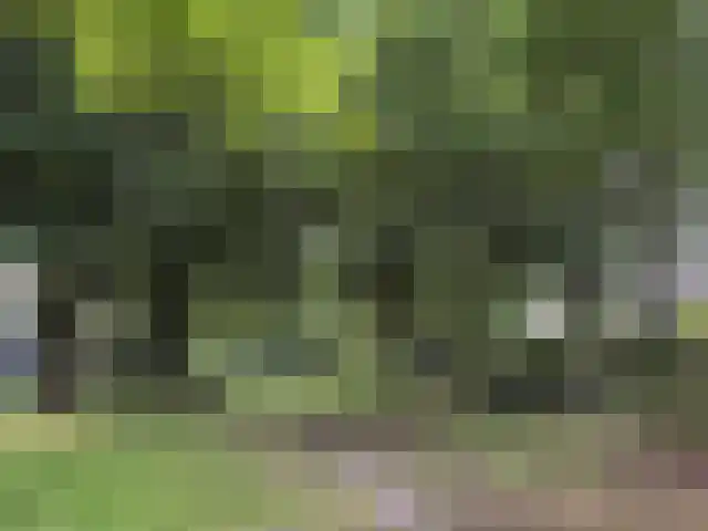 Beethovenlaan 27 Zeist thumbnail 38