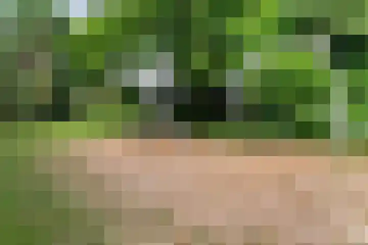 Beethovenlaan 27 Zeist thumbnail 39