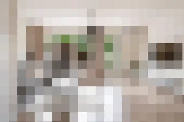 Beethovenlaan 27 Zeist thumbnail 4