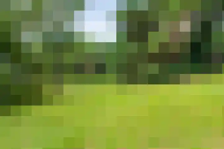 Beethovenlaan 27 Zeist thumbnail 40