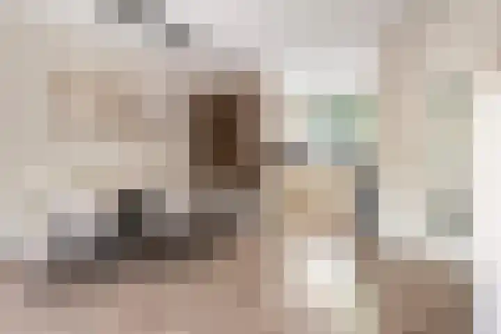Beethovenlaan 27 Zeist thumbnail 8