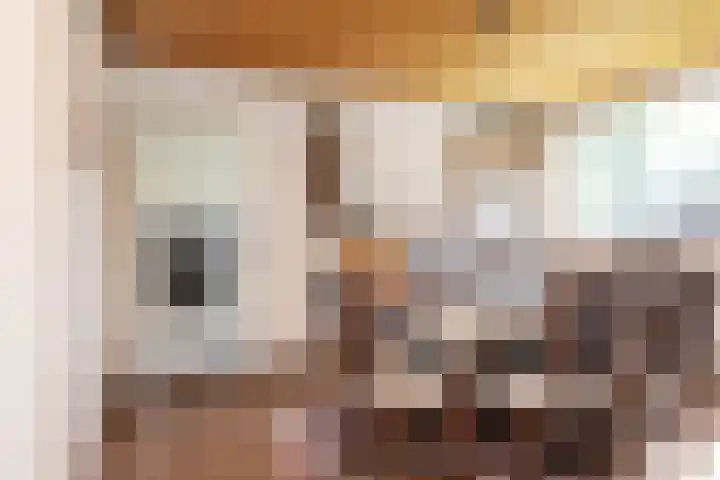 Beethovenlaan 28 Raamsdonksveer thumbnail 22
