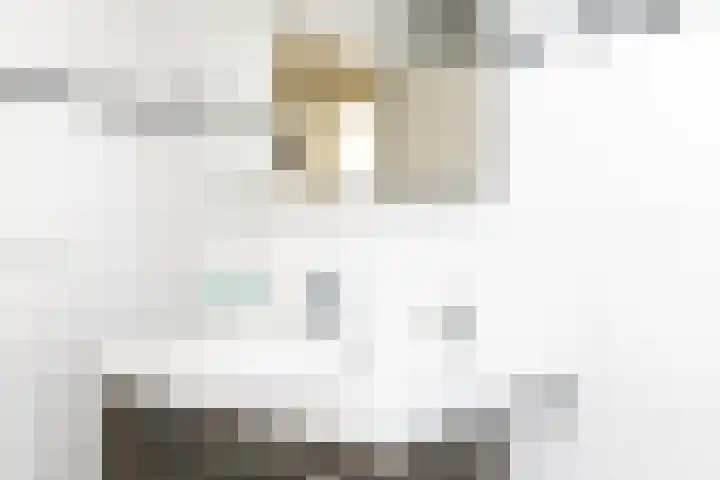 Beethovenlaan 28 Raamsdonksveer thumbnail 35