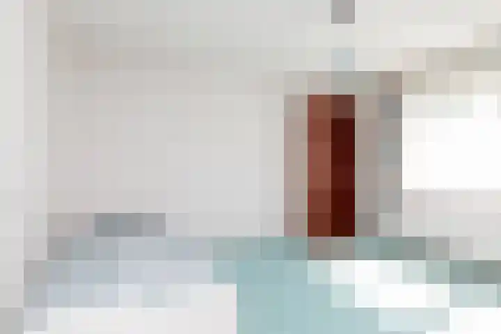 Beethovenlaan 28 Raamsdonksveer thumbnail 38