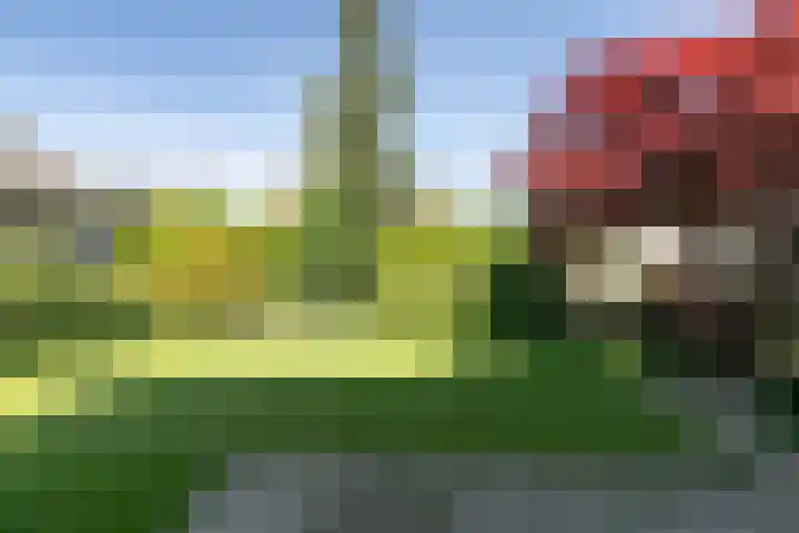 Beethovenlaan 28 Raamsdonksveer thumbnail 42
