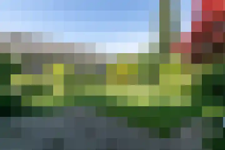 Beethovenlaan 28 Raamsdonksveer thumbnail 43