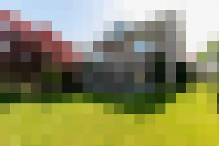 Beethovenlaan 28 Raamsdonksveer thumbnail 44