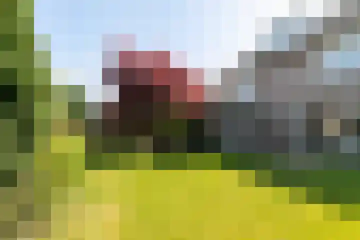 Beethovenlaan 28 Raamsdonksveer thumbnail 45