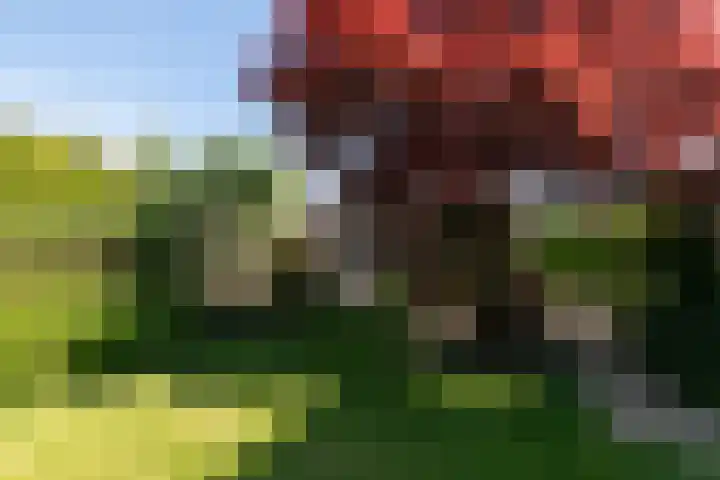 Beethovenlaan 28 Raamsdonksveer thumbnail 46