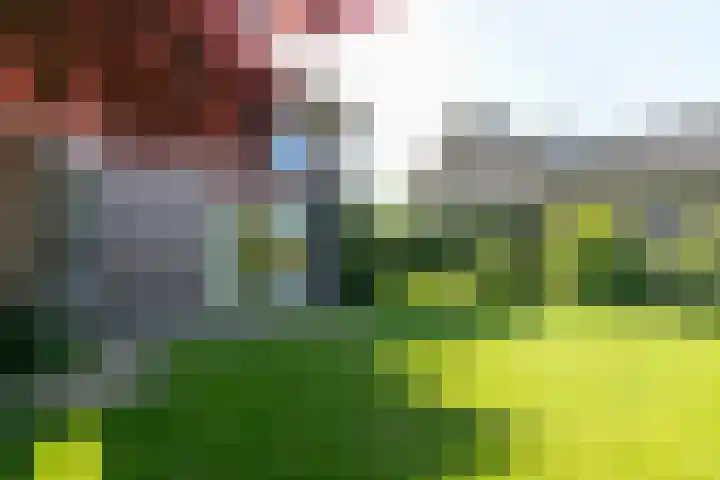 Beethovenlaan 28 Raamsdonksveer thumbnail 47