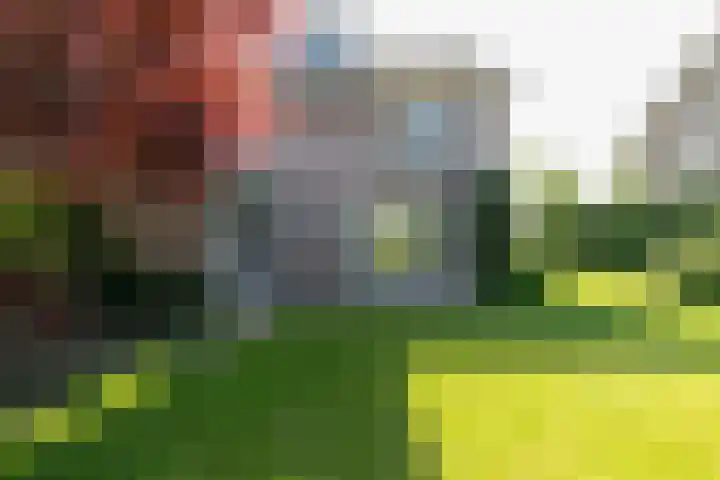 Beethovenlaan 28 Raamsdonksveer thumbnail 48