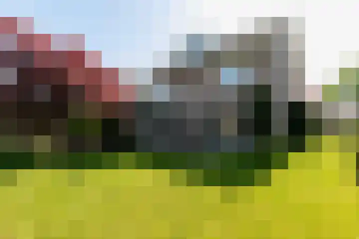 Beethovenlaan 28 Raamsdonksveer thumbnail 5