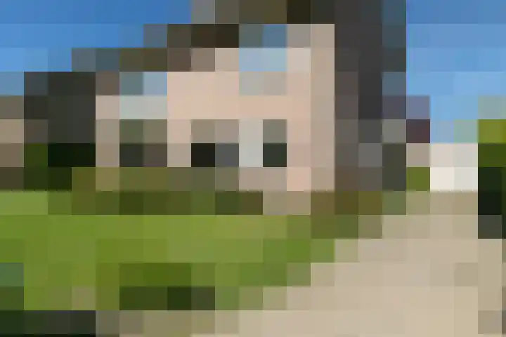 Beethovenlaan 28 Raamsdonksveer thumbnail 7