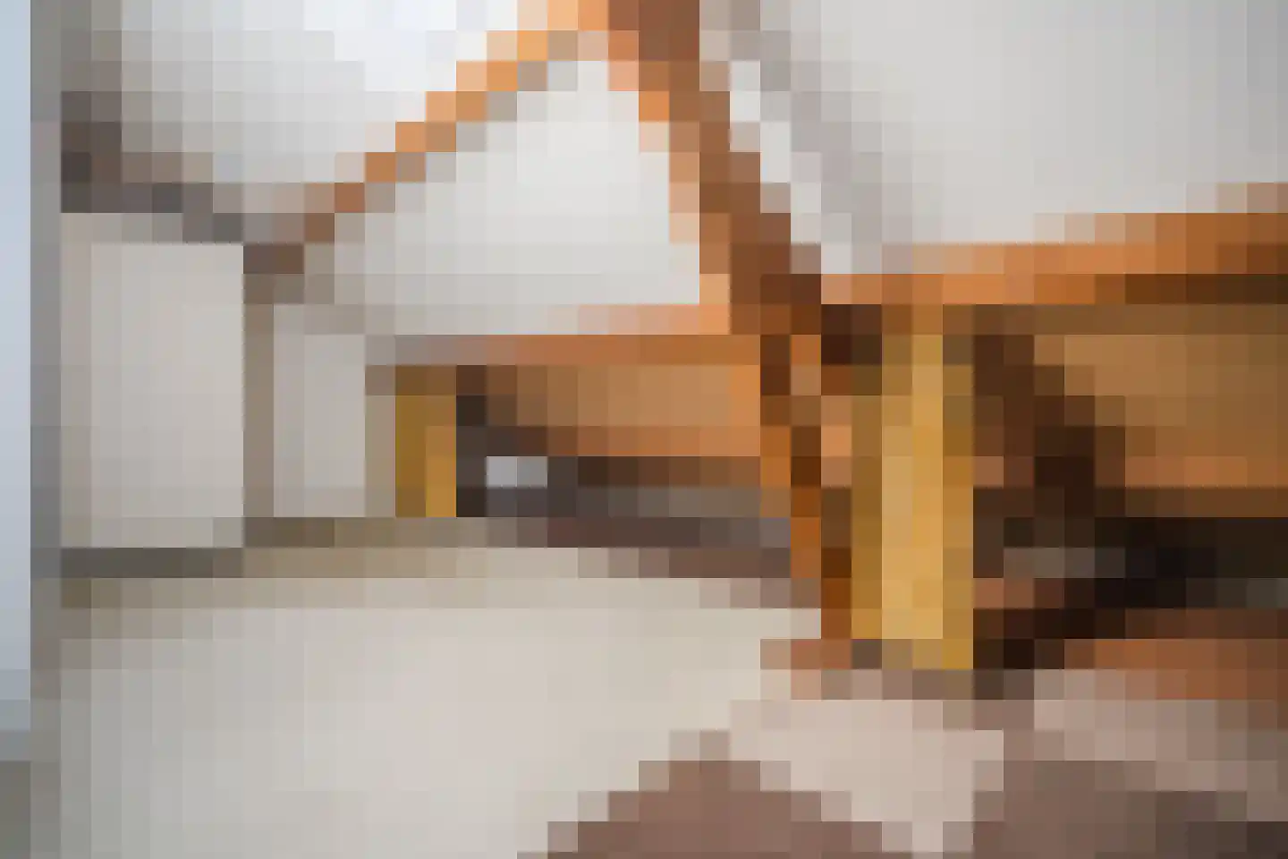 Beethovenlaan 289 Tilburg thumbnail 31