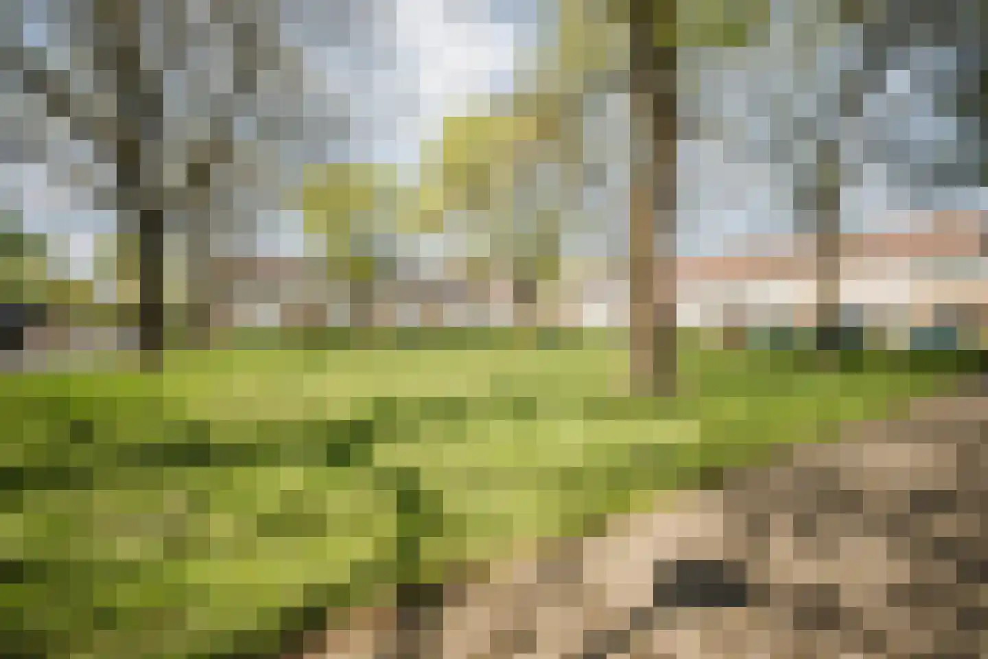 Beethovenlaan 289 Tilburg thumbnail 51