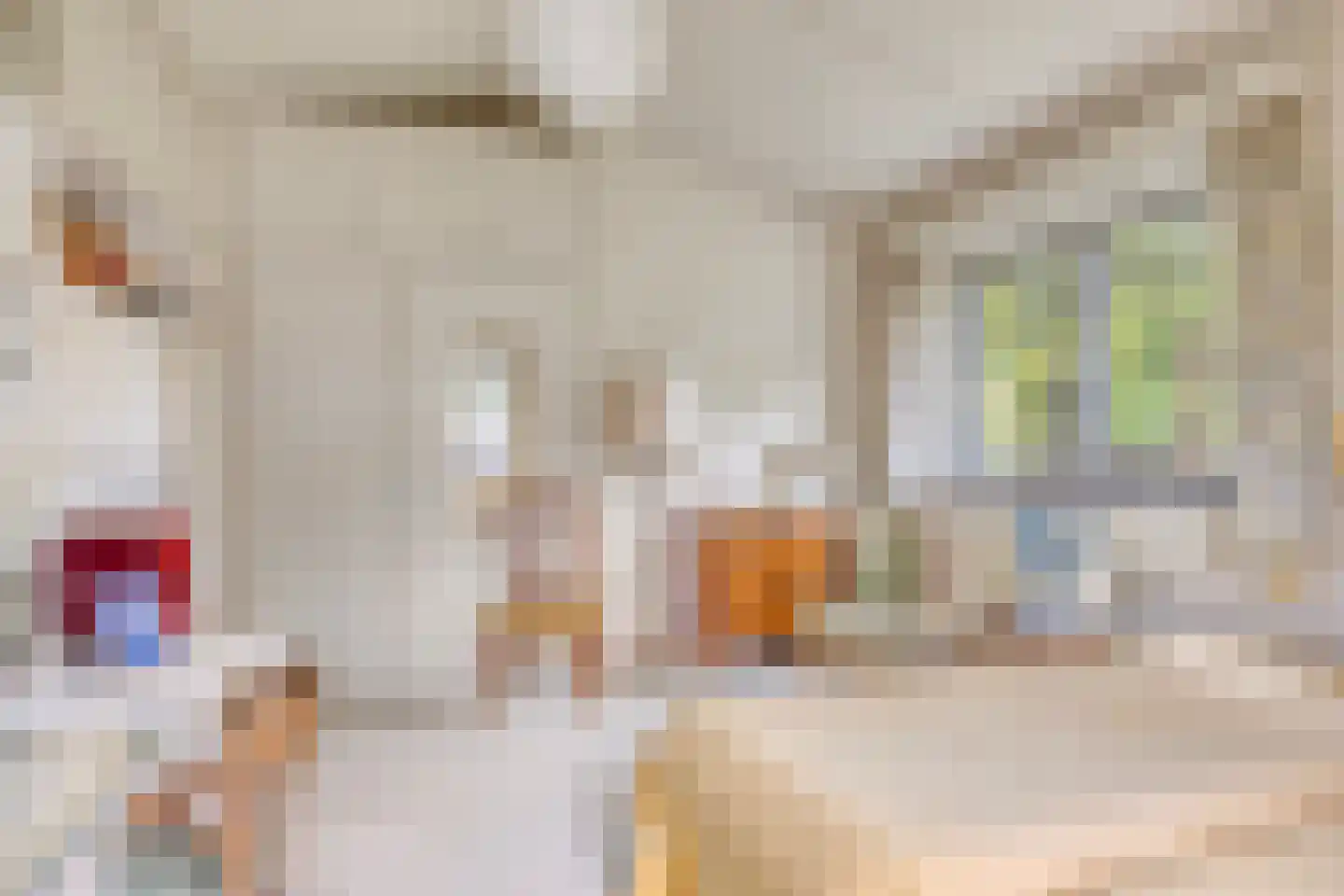 Beethovenlaan 3 Breda thumbnail 19