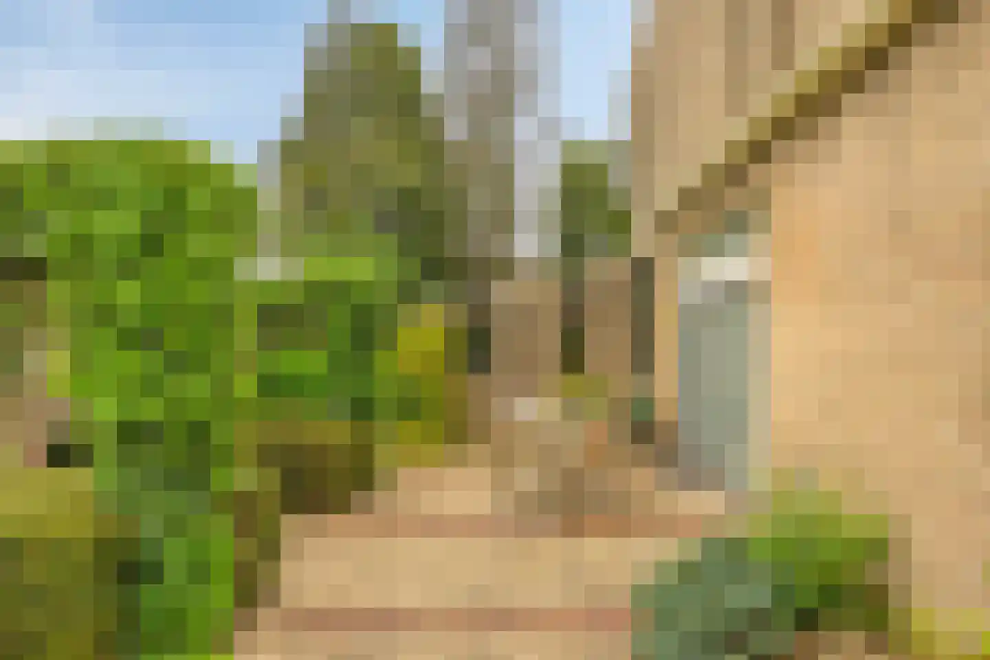 Beethovenlaan 3 Breda thumbnail 25