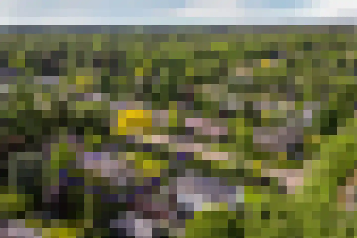 Beethovenlaan 3 Breda thumbnail 26