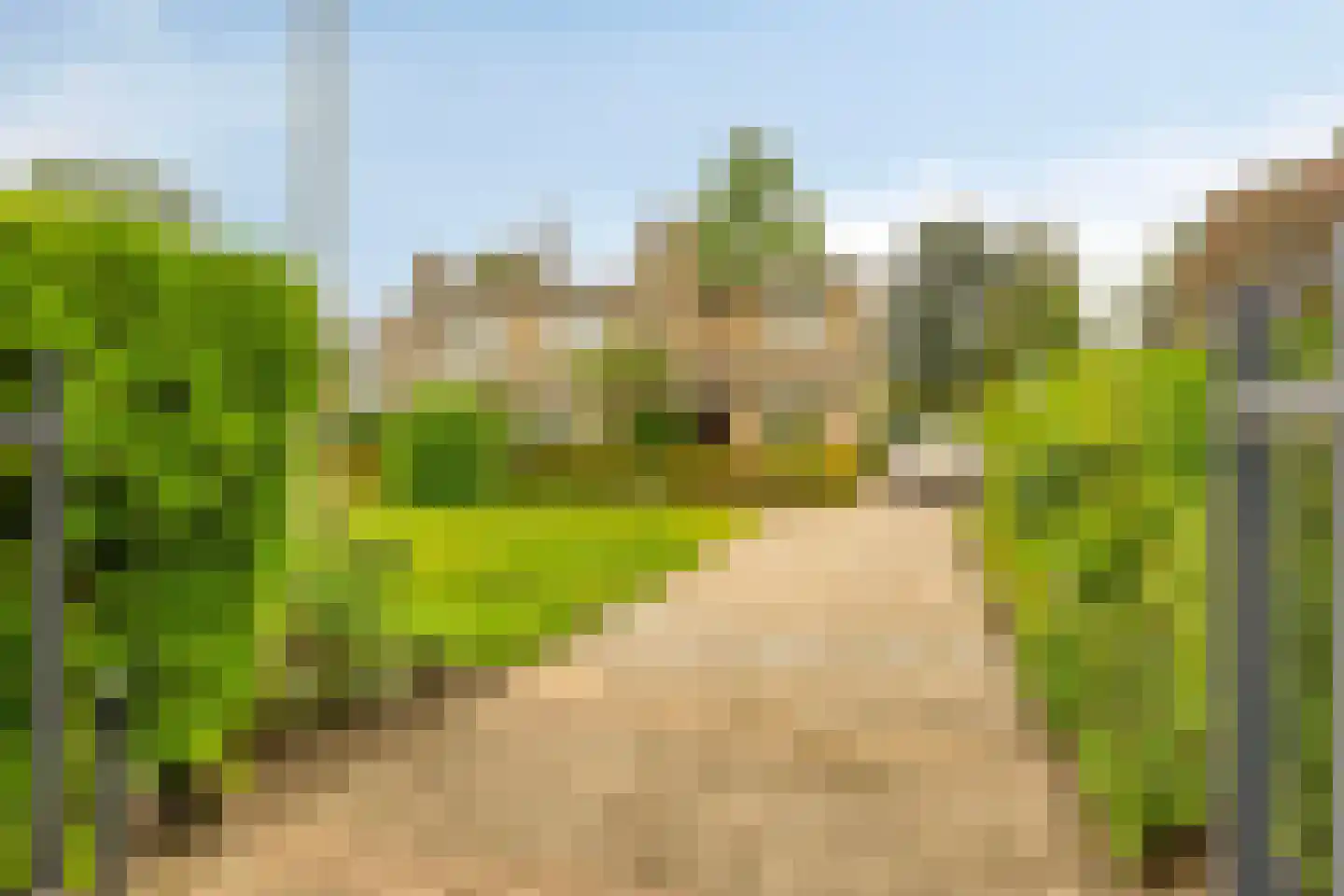 Beethovenlaan 3 Breda thumbnail 4