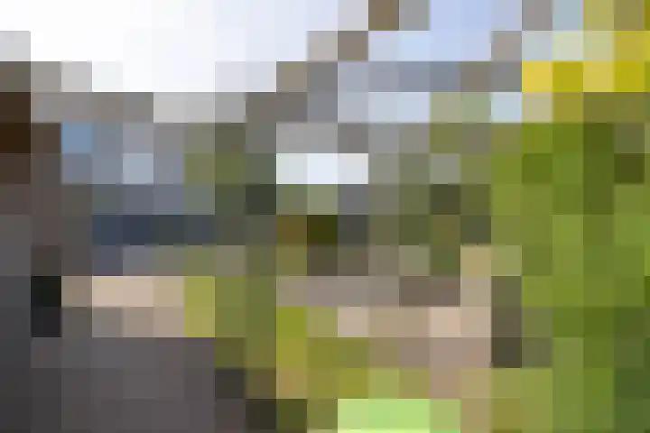 Beethovenlaan 3 Hengelo thumbnail 21