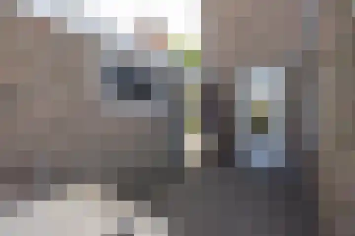 Beethovenlaan 3 Hengelo thumbnail 25