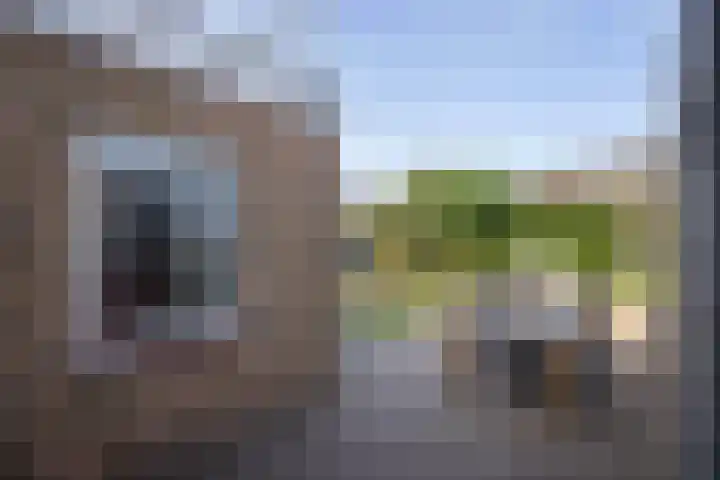 Beethovenlaan 3 Hengelo thumbnail 26