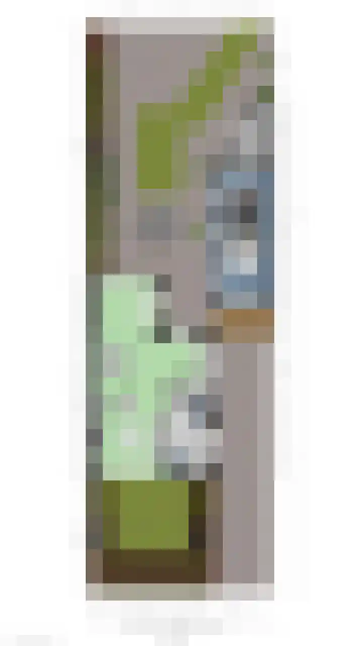 Beethovenlaan 3 Hengelo thumbnail 34