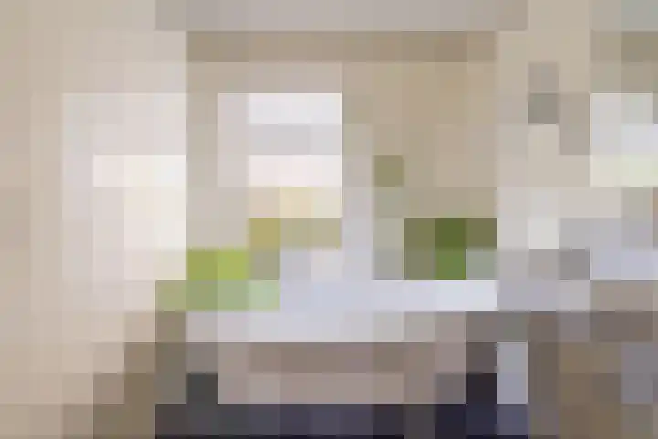 Beethovenlaan 3 Utrecht thumbnail 28