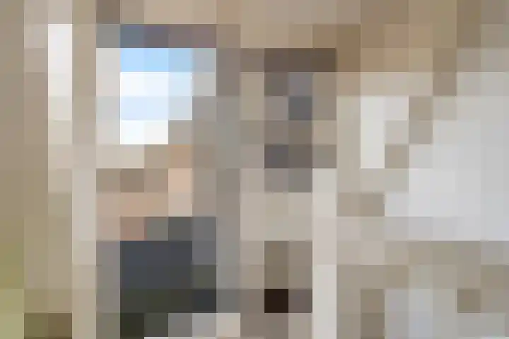 Beethovenlaan 3 Utrecht thumbnail 34