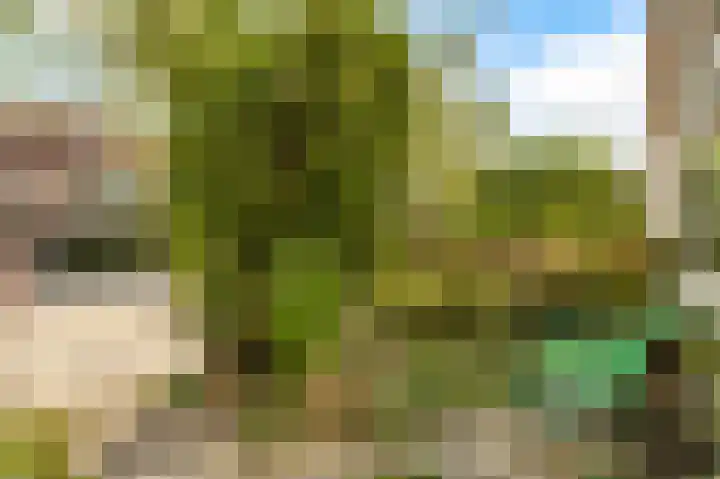 Beethovenlaan 3 Utrecht thumbnail 43