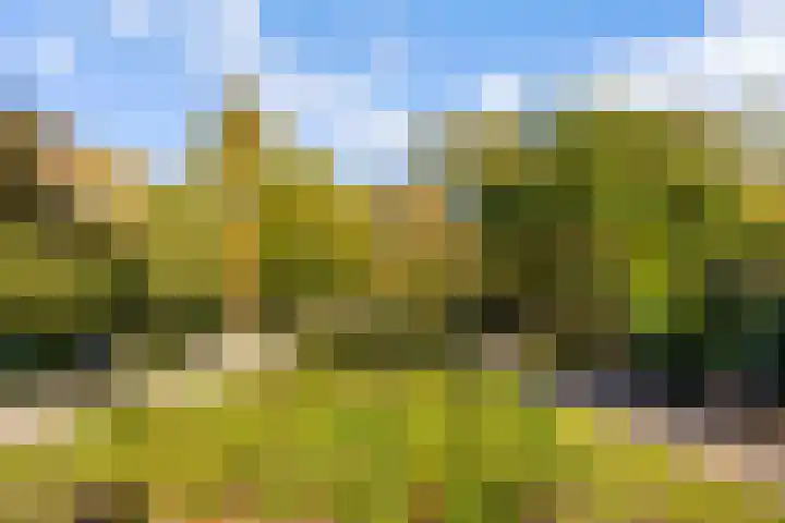 Beethovenlaan 3 Utrecht thumbnail 48