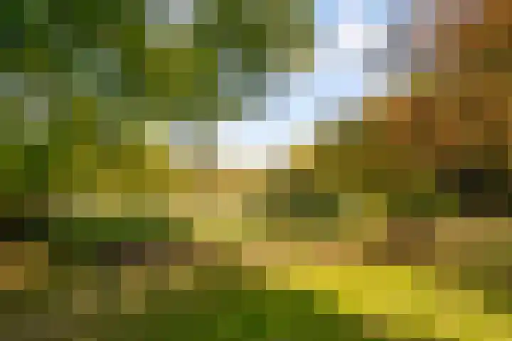Beethovenlaan 3 Utrecht thumbnail 50