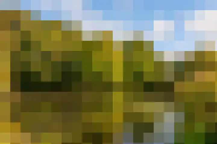 Beethovenlaan 3 Utrecht thumbnail 51