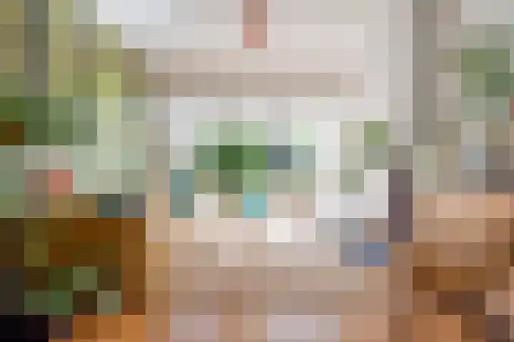 Beethovenlaan 3 Utrecht thumbnail 6