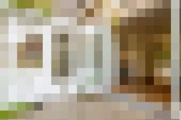Beethovenlaan 3 Utrecht thumbnail 9