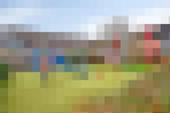 Beethovenlaan 30 Zwijndrecht thumbnail 29