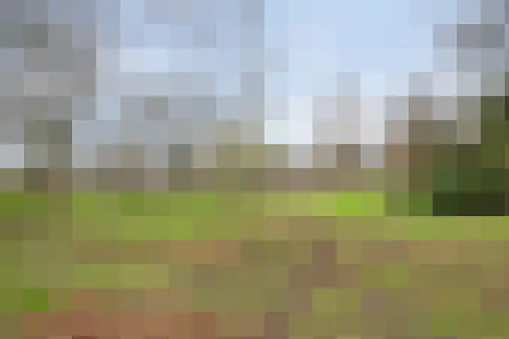 Beethovenlaan 30 Zwijndrecht thumbnail 30