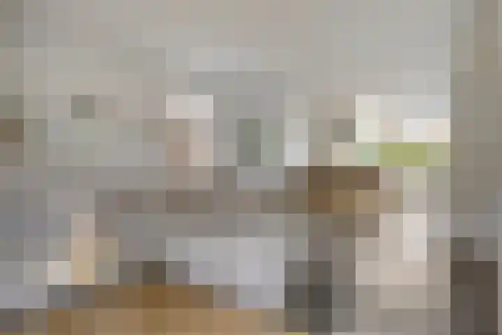 Beethovenlaan 31 Goes thumbnail 12