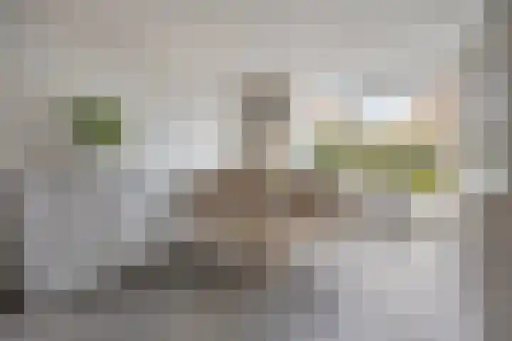 Beethovenlaan 31 Goes thumbnail 13