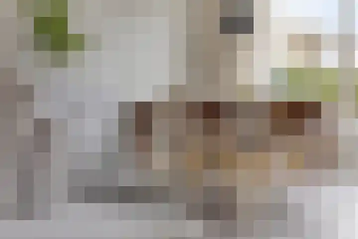 Beethovenlaan 31 Goes thumbnail 15