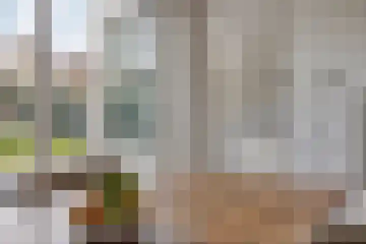 Beethovenlaan 31 Goes thumbnail 17