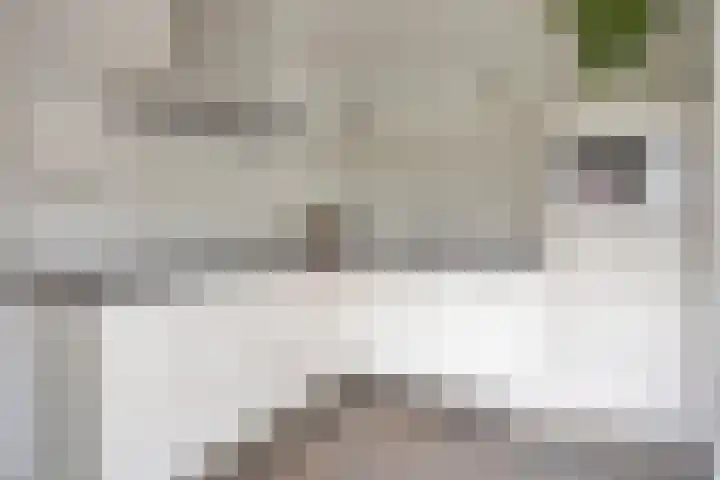 Beethovenlaan 31 Goes thumbnail 19