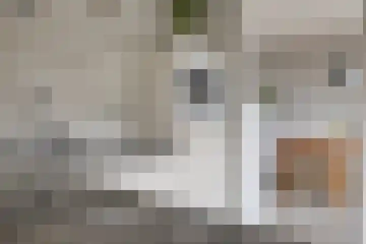Beethovenlaan 31 Goes thumbnail 20