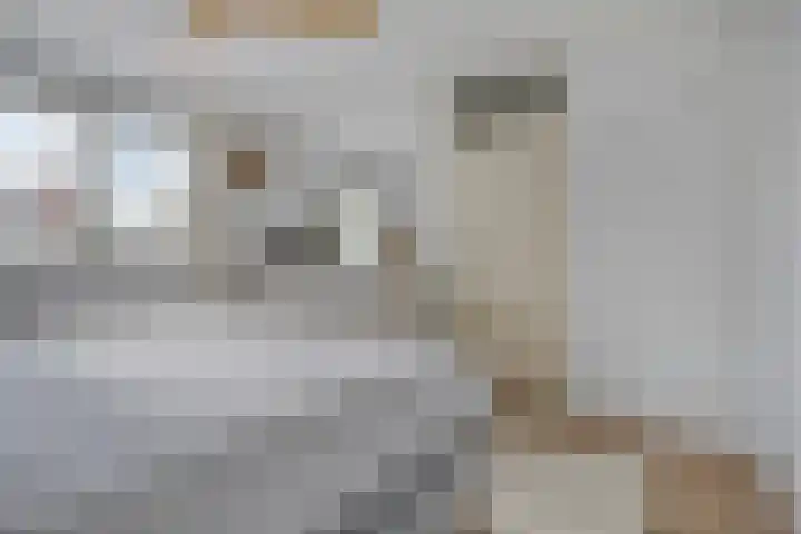 Beethovenlaan 31 Goes thumbnail 24