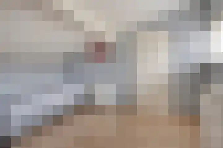 Beethovenlaan 31 Goes thumbnail 32