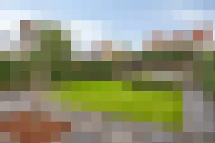 Beethovenlaan 31 Goes thumbnail 33