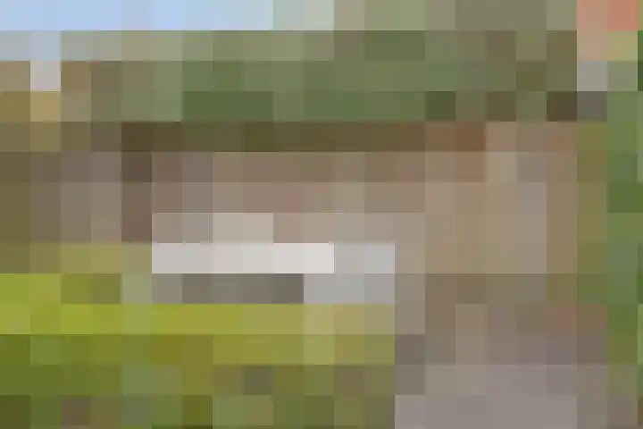 Beethovenlaan 31 Goes thumbnail 35